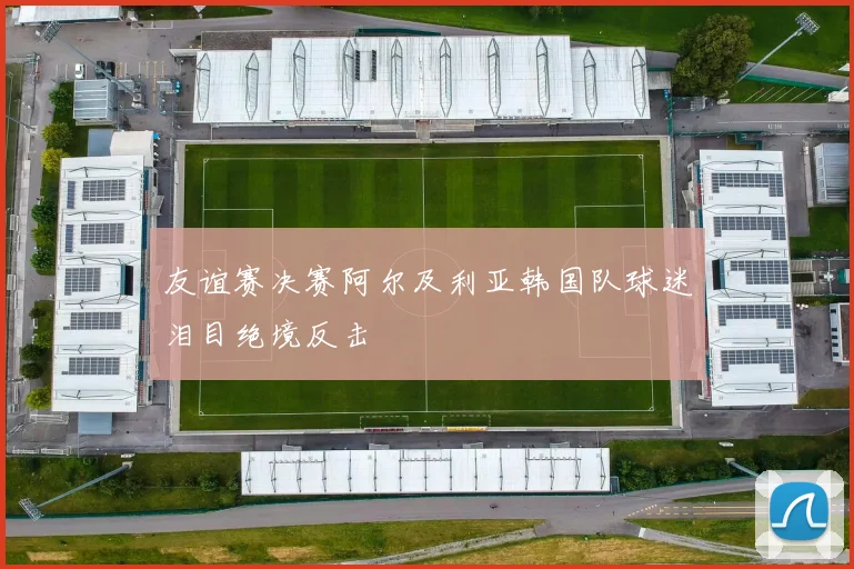 友谊赛决赛阿尔及利亚韩国队球迷泪目绝境反击