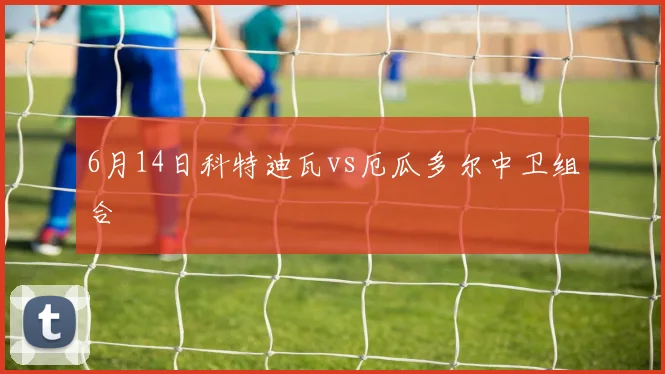 6月14日科特迪瓦vs厄瓜多尔中卫组合