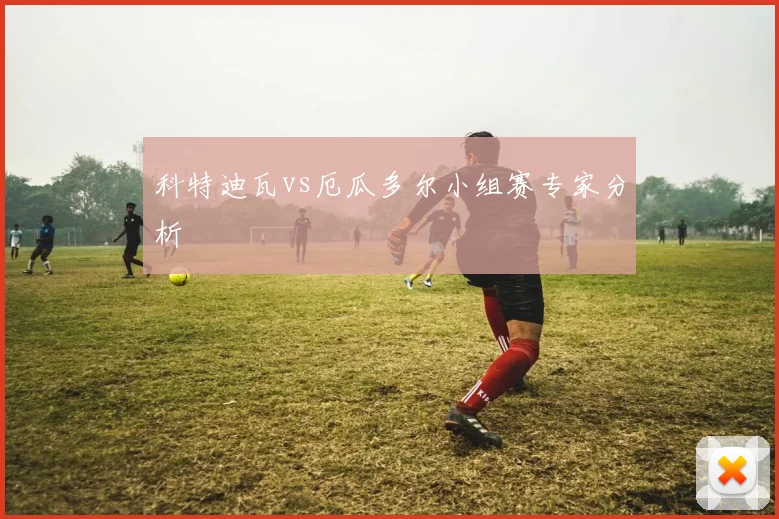 科特迪瓦vs厄瓜多尔小组赛专家分析