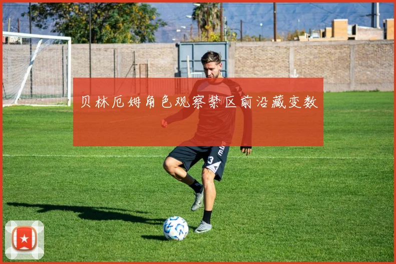 贝林厄姆角色观察禁区前沿藏变数