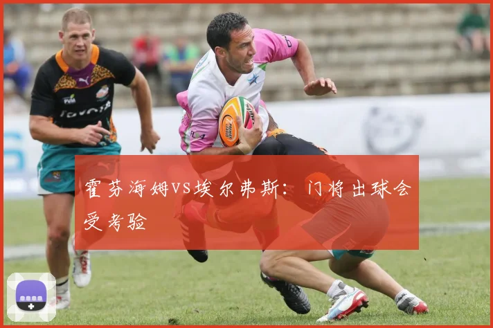 霍芬海姆vs埃尔弗斯：门将出球会受考验